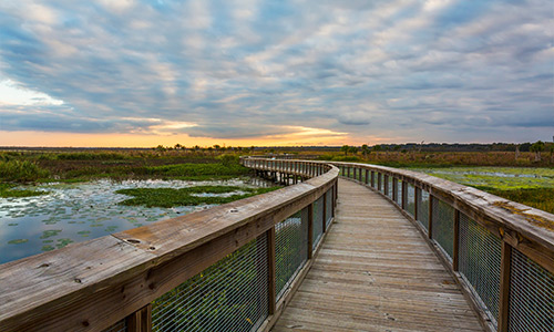 boardwalk over Paynes Prairie in Gainesville, Florida