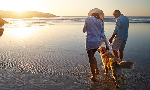 couple walking on the beach with dog