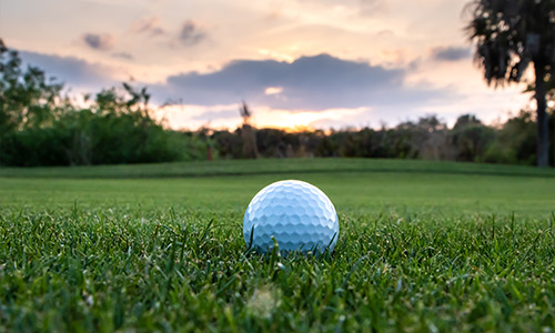 golf ball on the green in The Villages, Florida